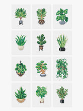 Houseplants Edition