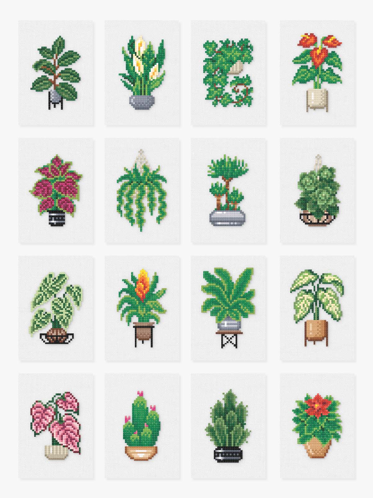 house plants art Houseplants Edition 2