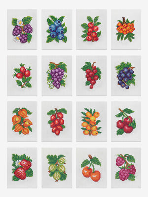 Berries Edition
