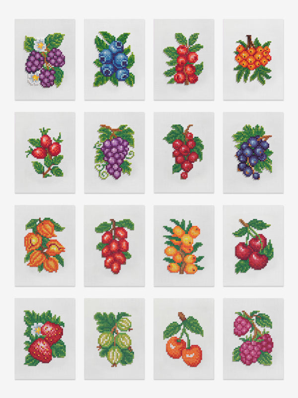 Berries Edition
