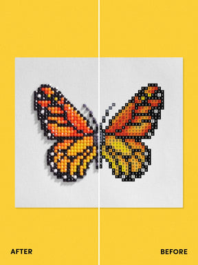 Butterfly Edition