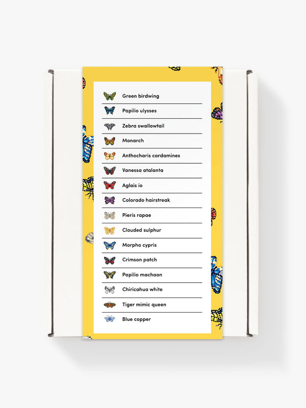 Butterfly Edition