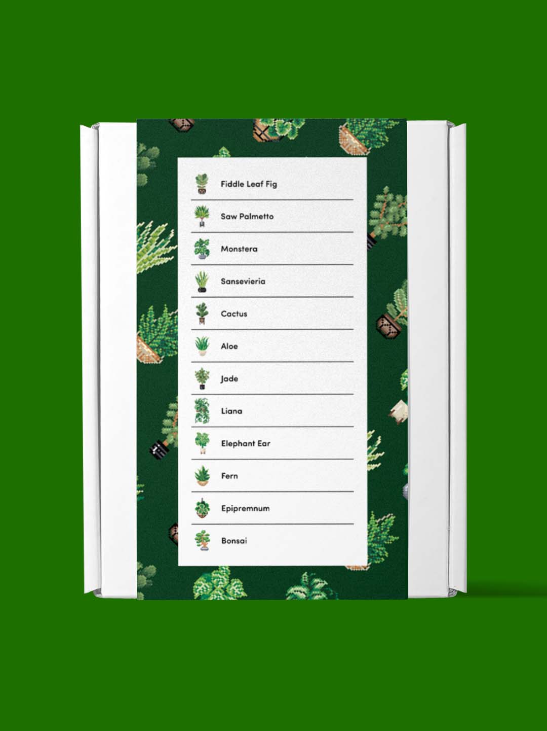Houseplants Edition