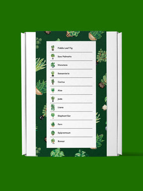 Houseplants Edition