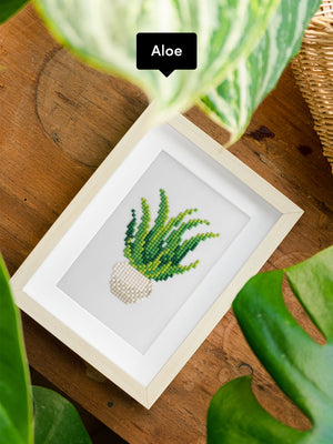 Houseplants Edition