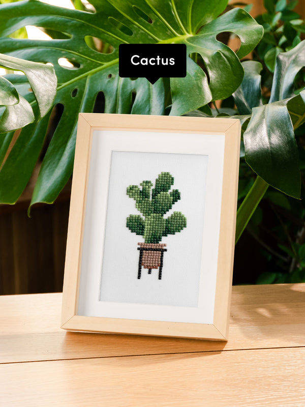 Houseplants Edition