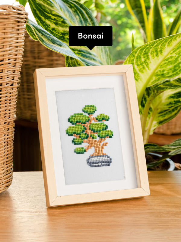Houseplants Edition