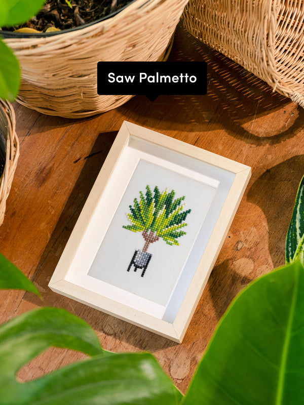 Houseplants Edition